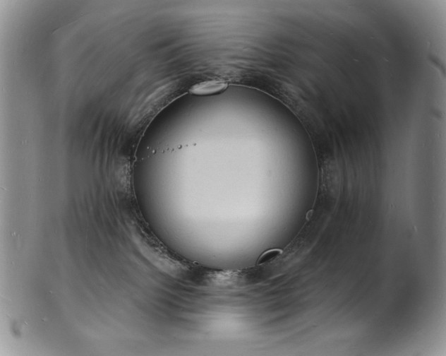 X0000101690092200807171445