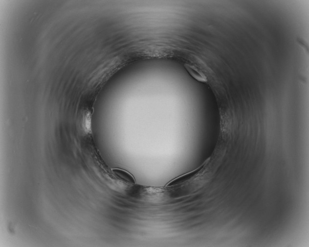 X0000101690095200807171445