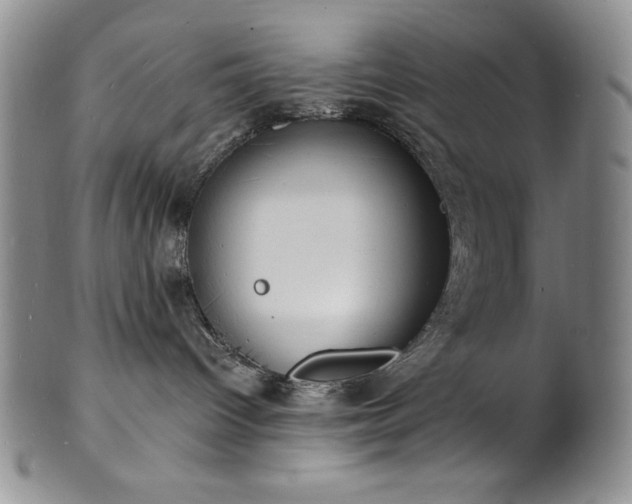 X0000101690096200807171445