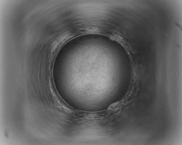 X0000101690097200807171445