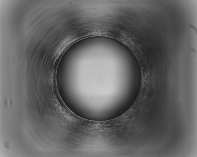 X0000101690098200807171445