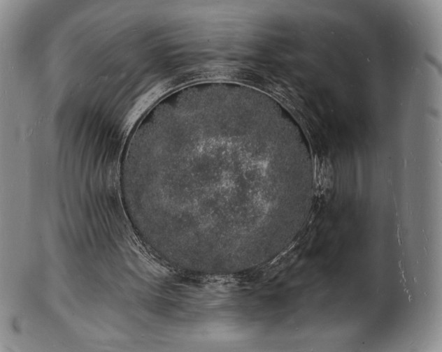 X0000101690099200807171445