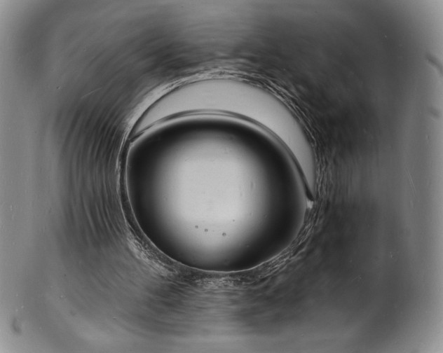 X0000101690100200807171445