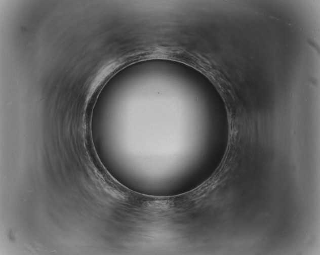 X0000101690102200807171444