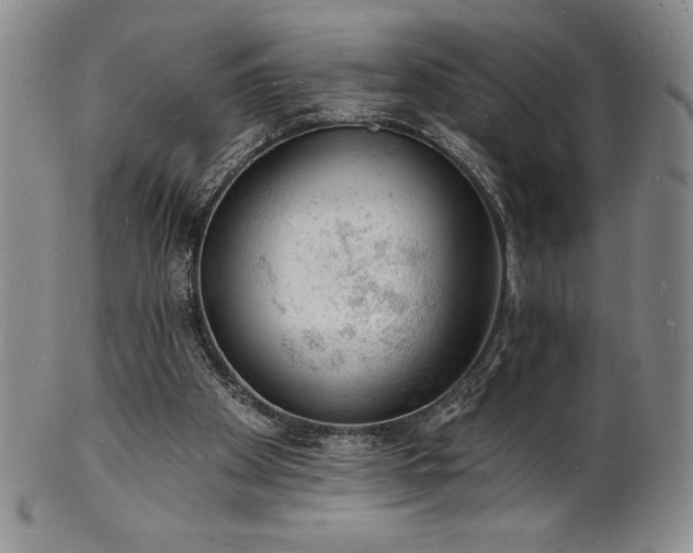 X0000101690105200807171444