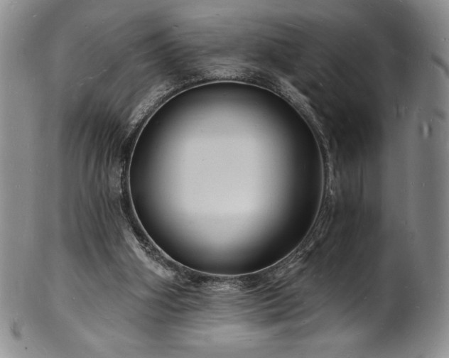 X0000101690106200807171444