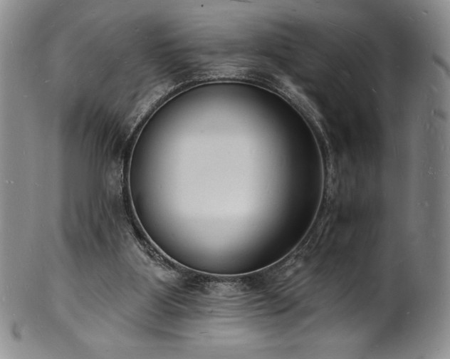 X0000101690107200807171444