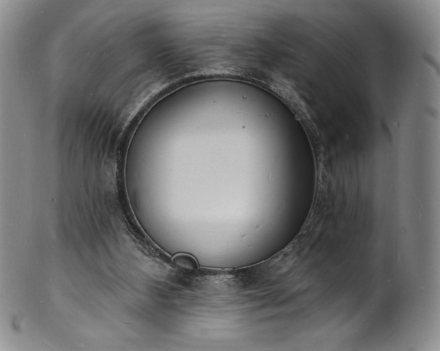 X0000101690108200807171444