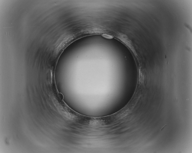 X0000101690109200807171444