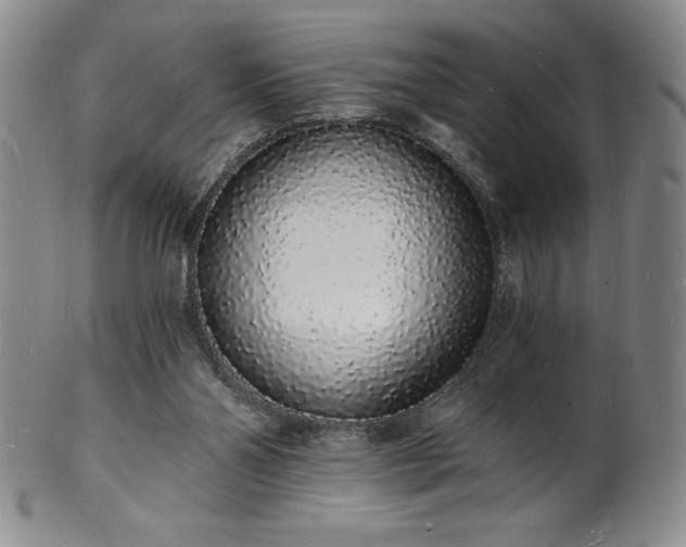 X0000101690110200807171444