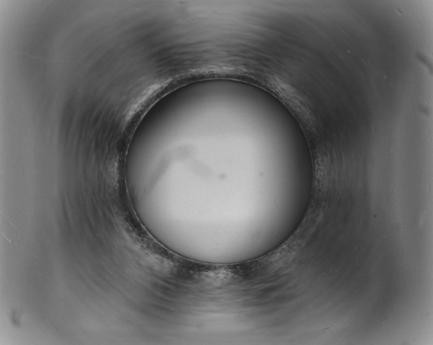 X0000101690112200807171444