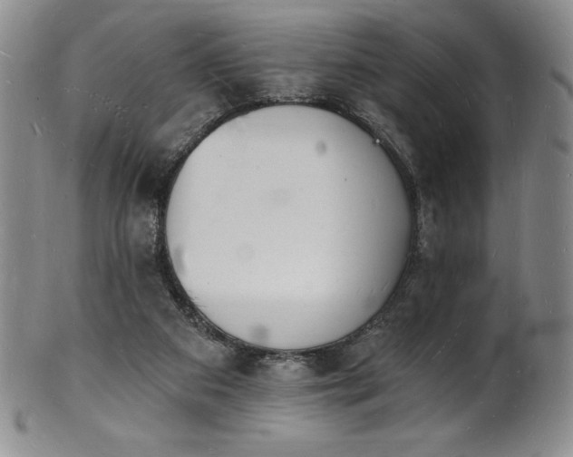 X0000101690113200807171444