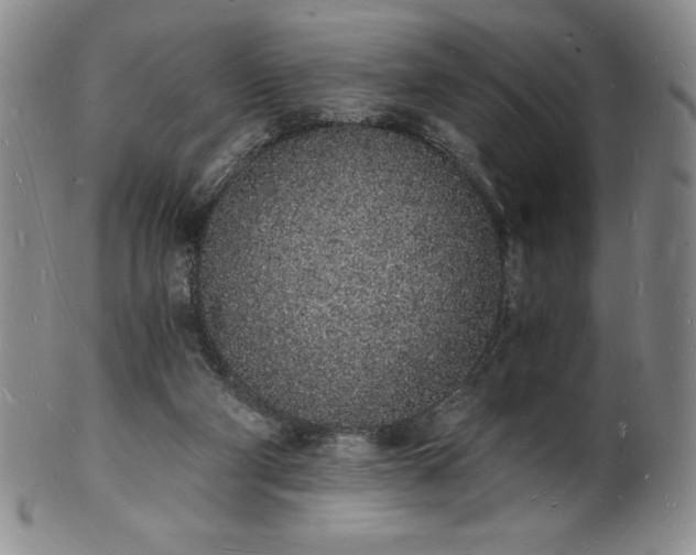 X0000101690114200807171444