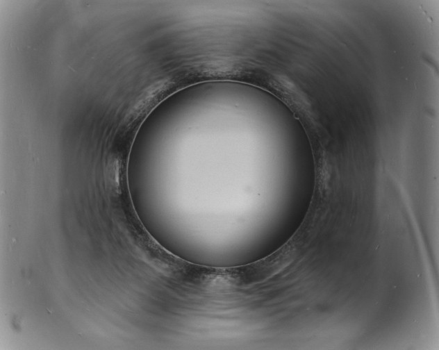 X0000101690115200807171444