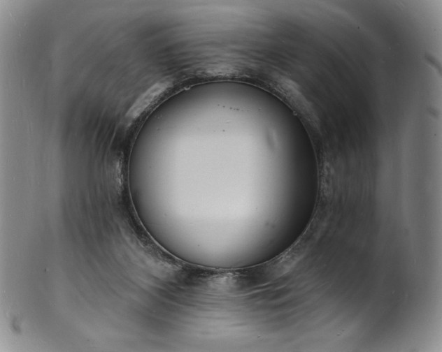 X0000101690116200807171444