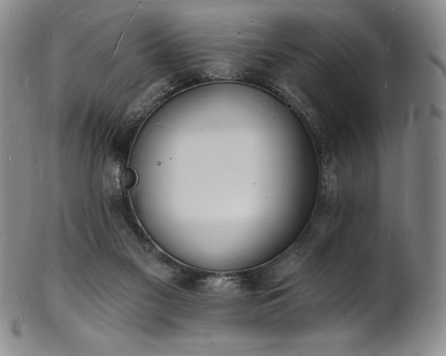 X0000101690117200807171444