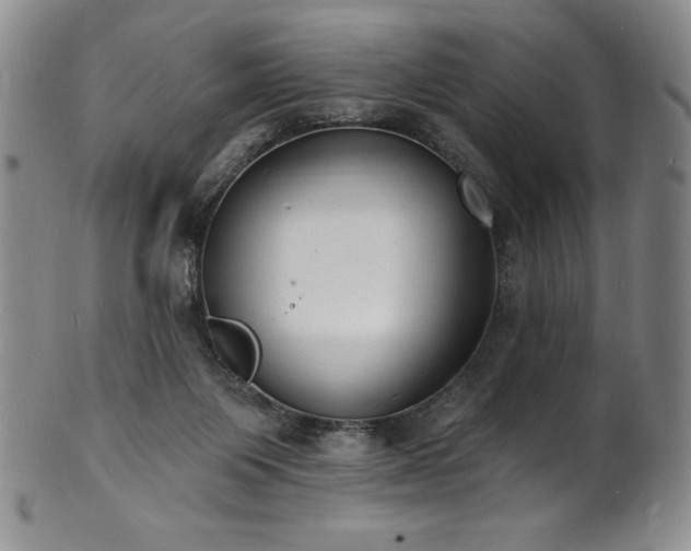 X0000101690119200807171444