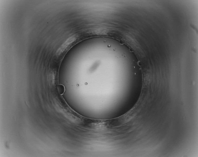 X0000101690120200807171444