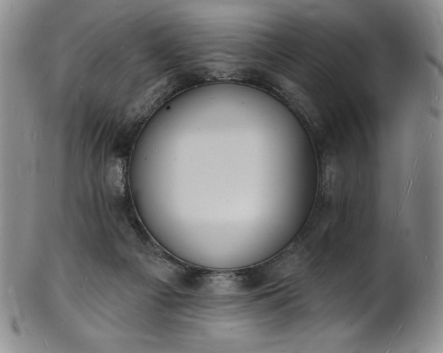 X0000101690121200807171444