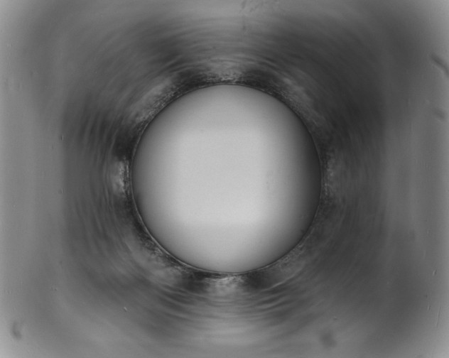 X0000101690122200807171444