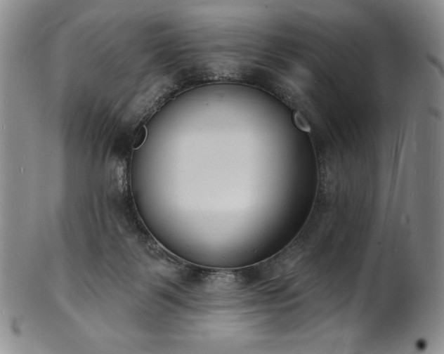 X0000101690123200807171444