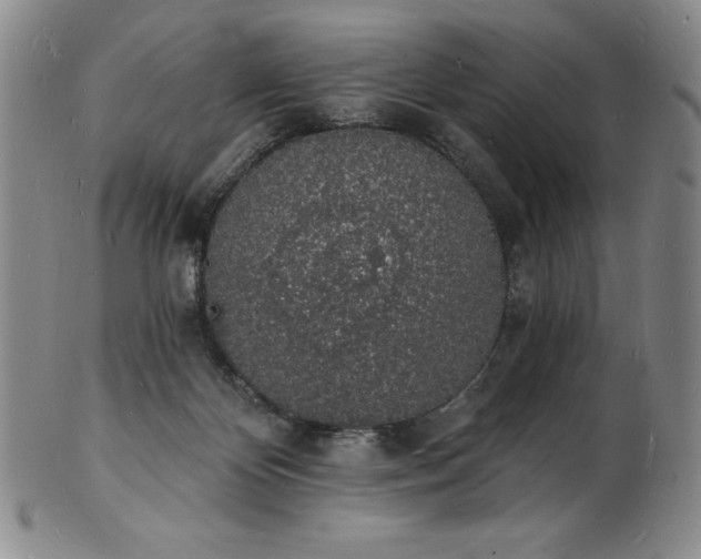 X0000101690124200807171444