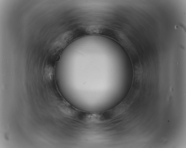 X0000101690125200807171444