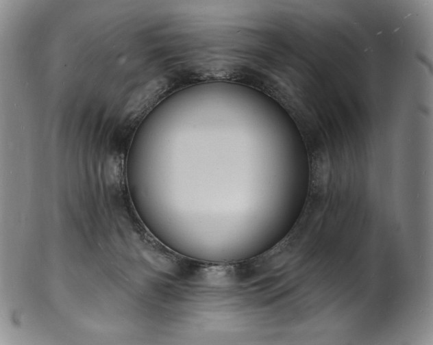 X0000101690126200807171444