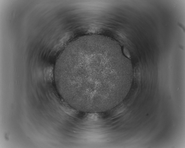 X0000101690127200807171444