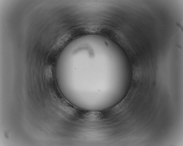 X0000101690128200807171444