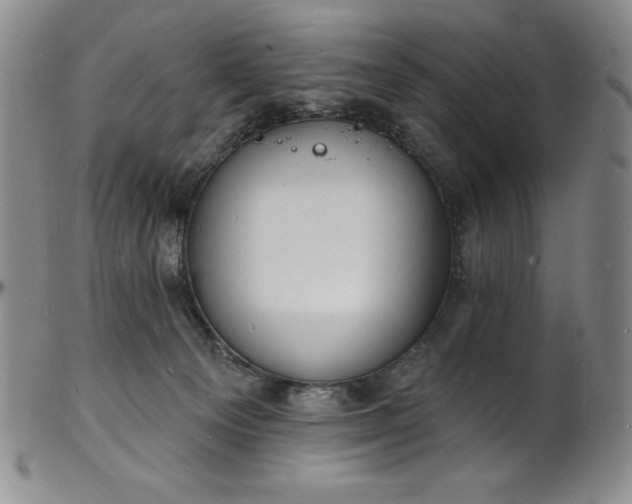 X0000101690129200807171444