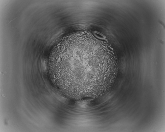 X0000101690131200807171444