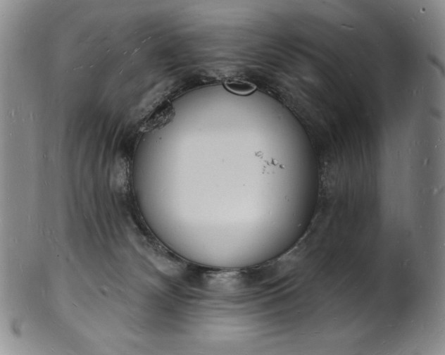 X0000101690132200807171444