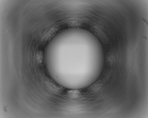 X0000101690133200807171444