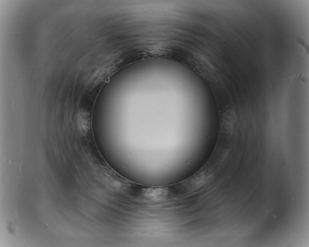 X0000101690135200807171444