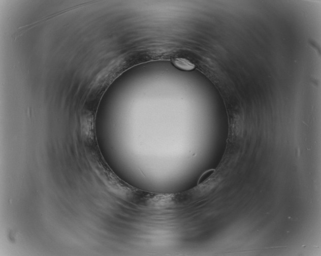 X0000101690138200807171444