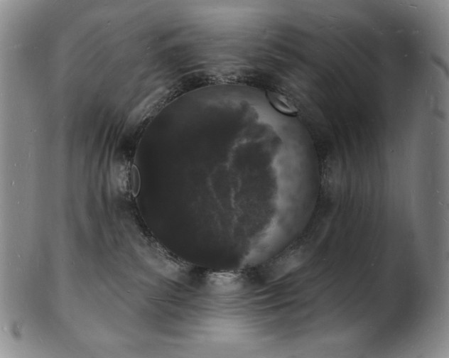 X0000101690139200807171444