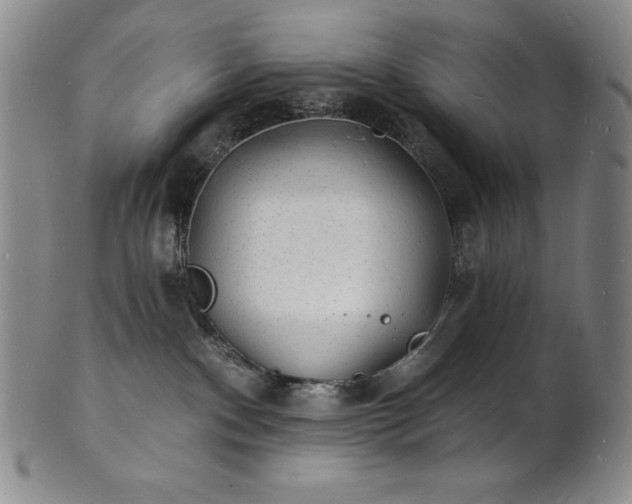 X0000101690140200807171444