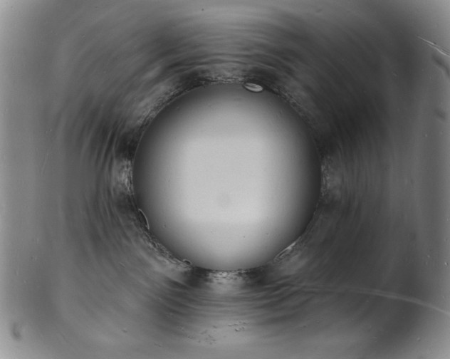 X0000101690141200807171444