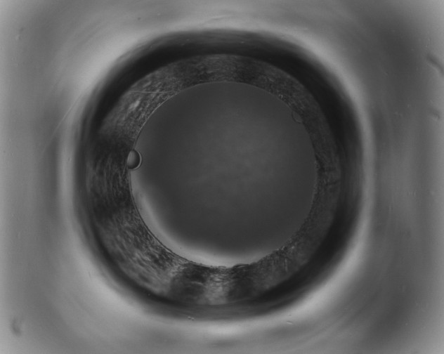 X0000101690143200807171444