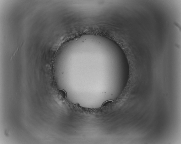 X0000101690144200807171444