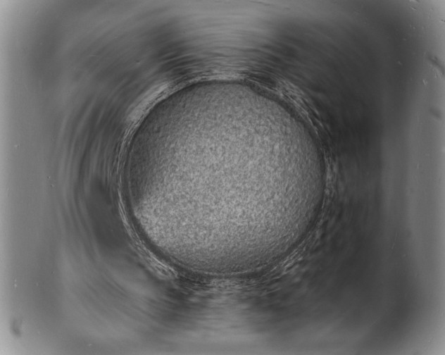 X0000101690145200807171443