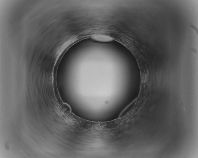 X0000101690148200807171443