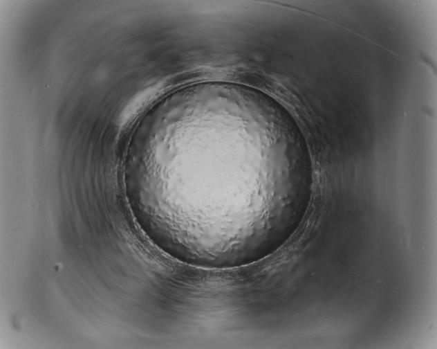 X0000101690149200807171443