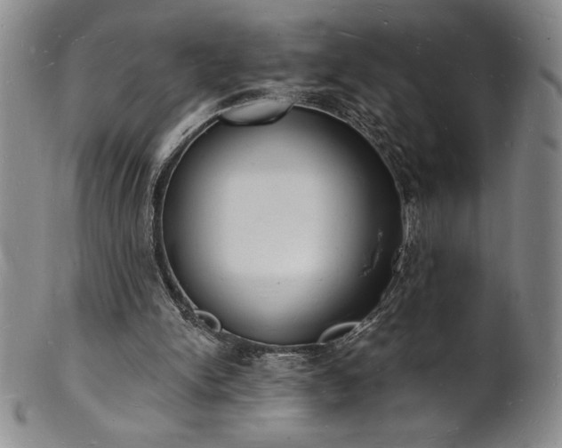 X0000101690150200807171443