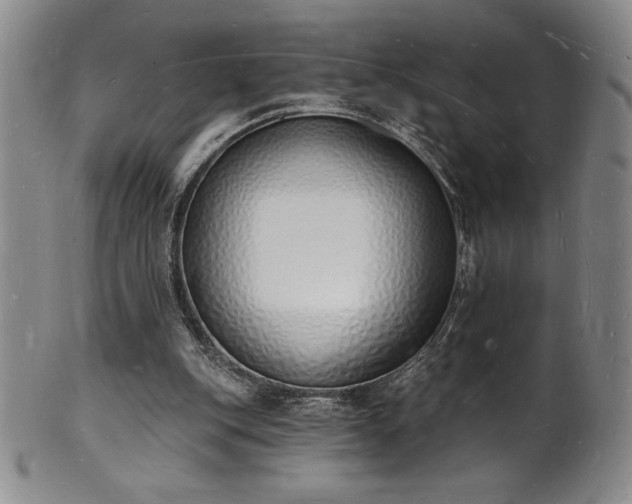 X0000101690151200807171443