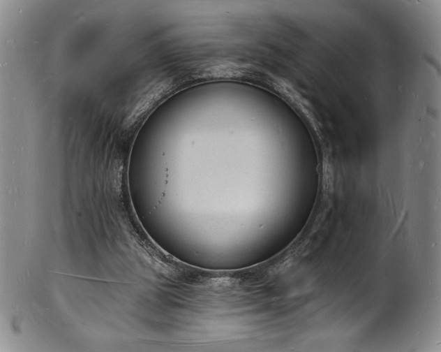 X0000101690153200807171443