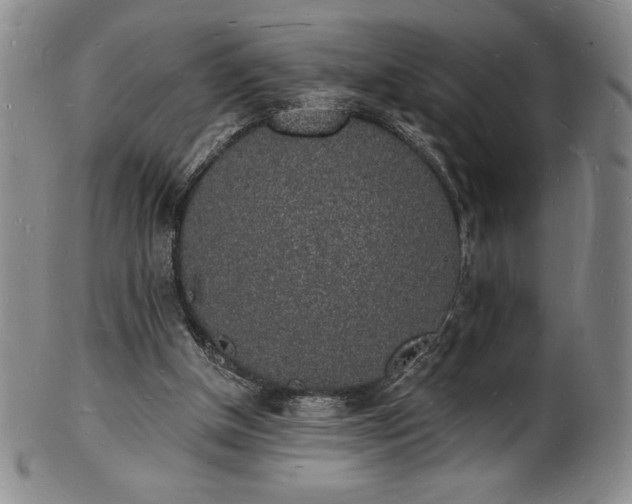 X0000101690154200807171443