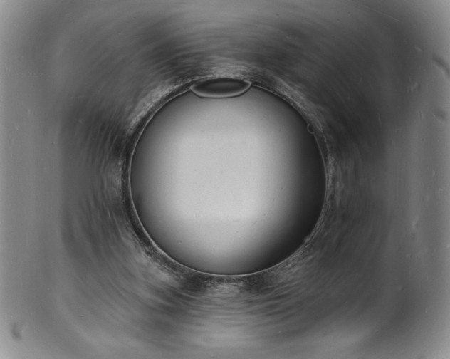 X0000101690155200807171443