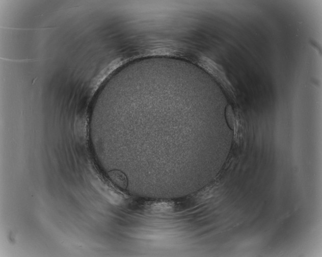 X0000101690156200807171443